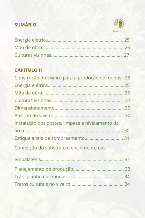 Hortaliças - Os segredos para cultivar com sucesso - Image 3