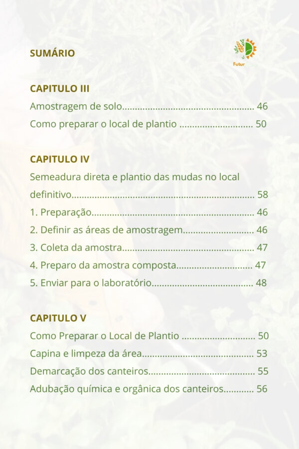 Hortaliças - Os segredos para cultivar com sucesso - Image 4