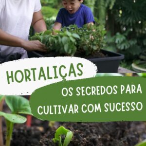 Hortaliças - Os segredos para cultivar com sucesso