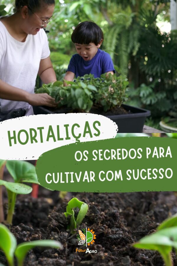 Hortaliças - Os segredos para cultivar com sucesso